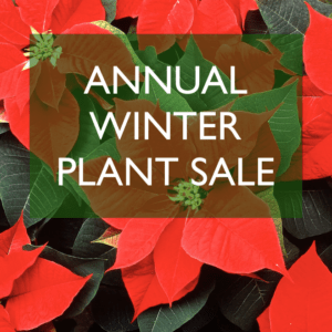 Annual Winter Plant Sale