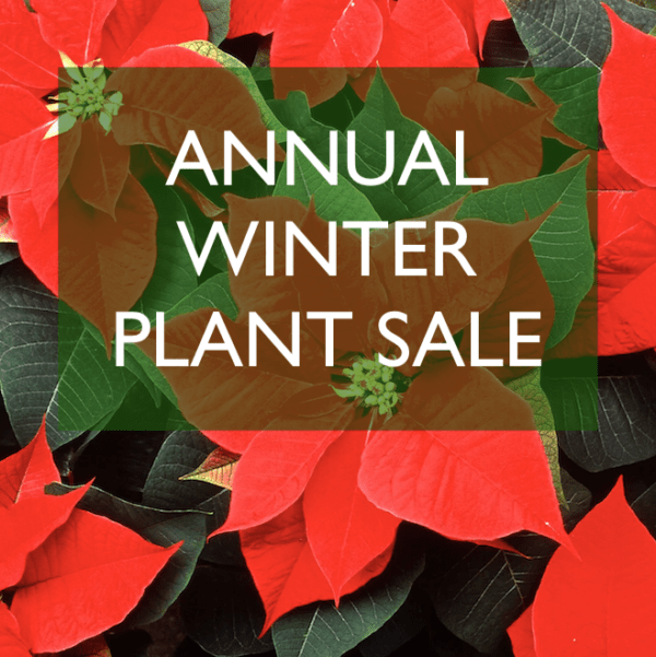 Annual Winter Plant Sale