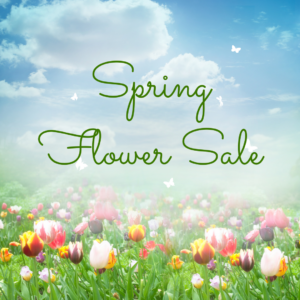 Spring Flower Sale